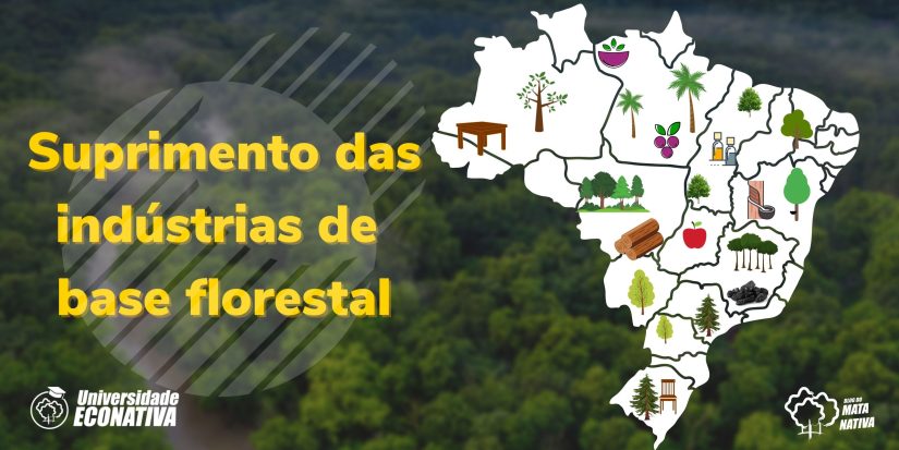 Suprimento das indústrias de base florestal