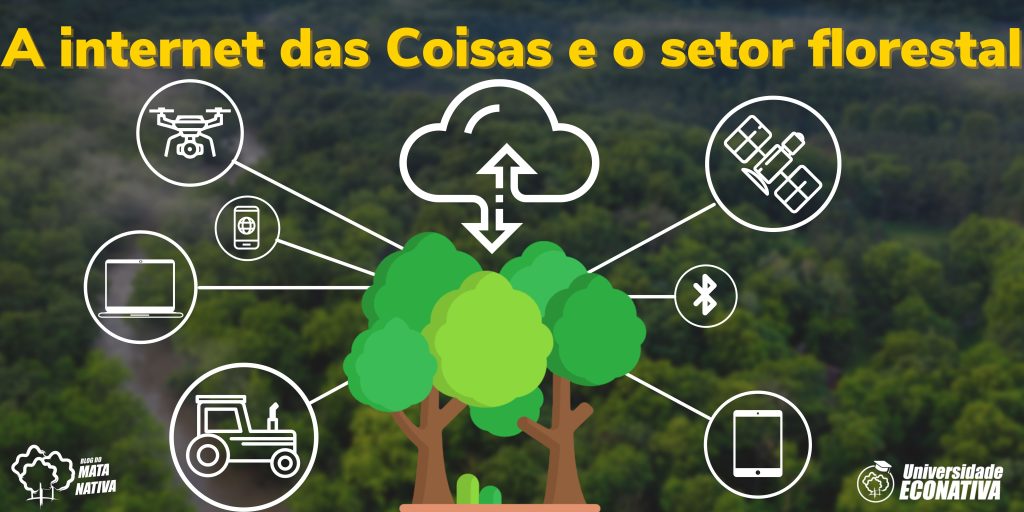 A internet das Coisas e o setor florestal