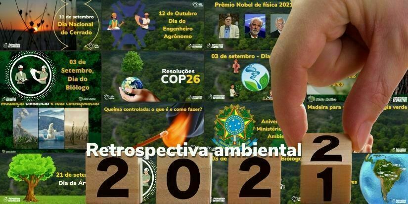 Retrospectiva ambiental 2021