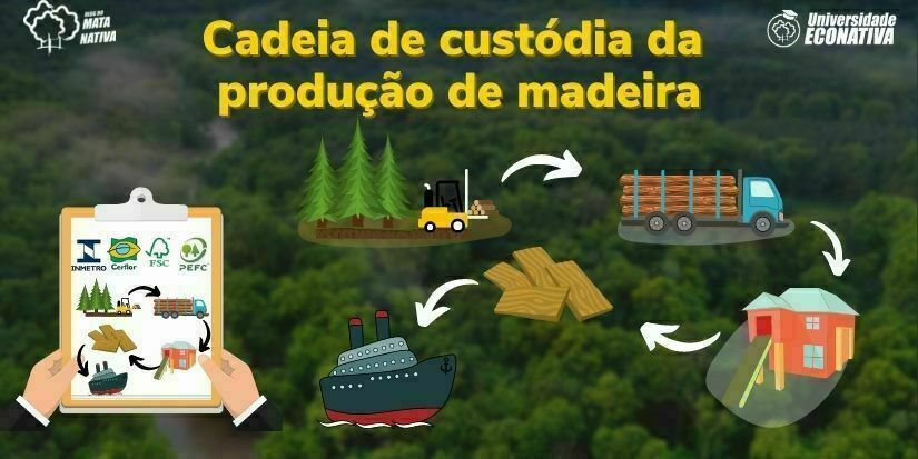 Cadeia de custódia da produção de madeira