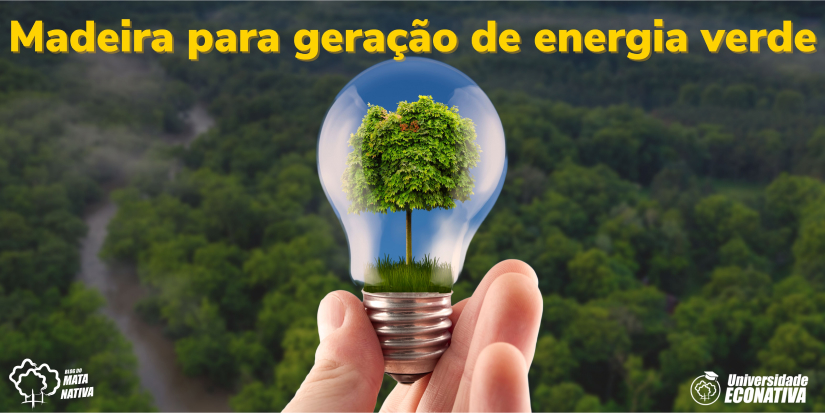 Madeira para geração de energia verde