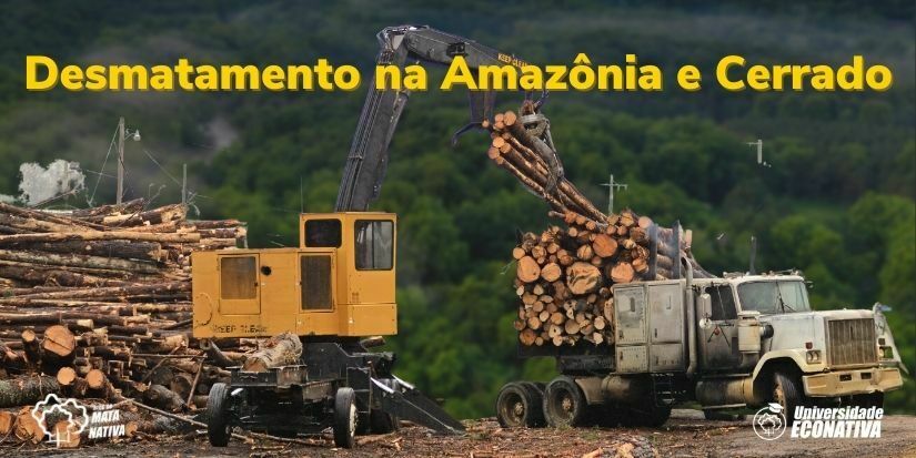 Desmatamento na Amazônia e Cerrado