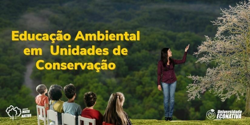 Caça Palavras – Meio Ambiente, Software