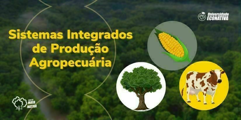 Sistemas Integrados de Produção Agropecuária