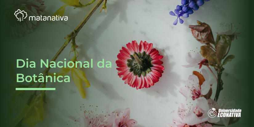 Dia Nacional da Botânica