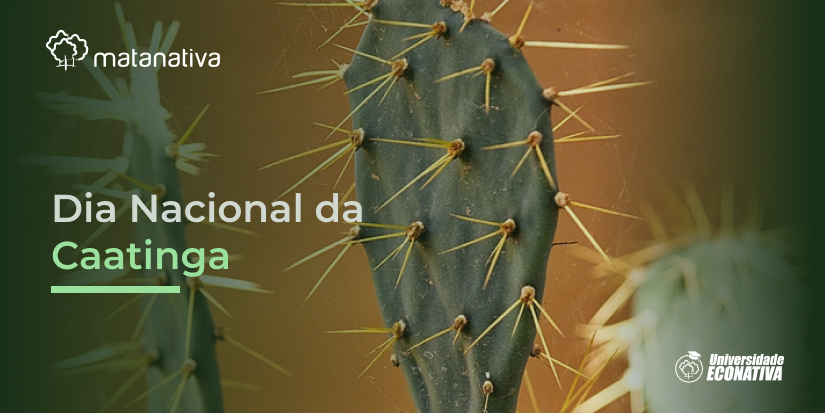 Dia Nacional da Caatinga