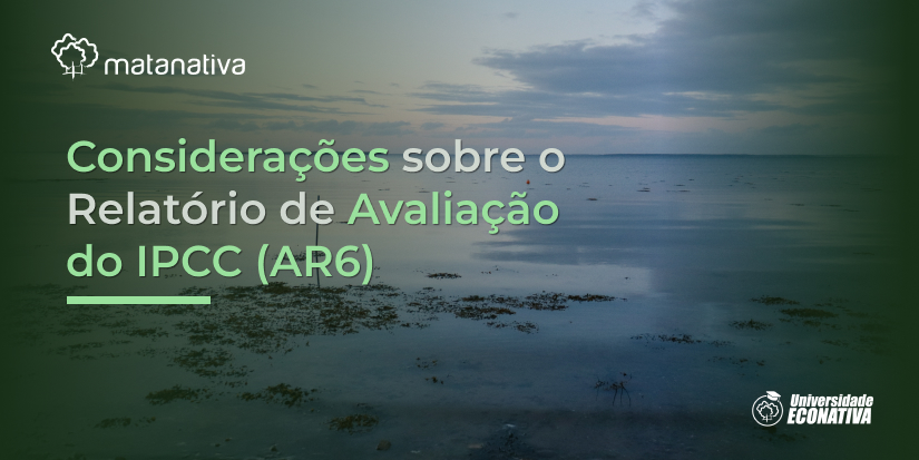 Considerações sobre o Relatório de Avaliação do IPCC (AR6)