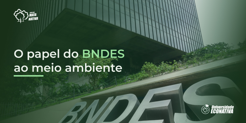 O Papel do BNDES Para o Meio Ambiente