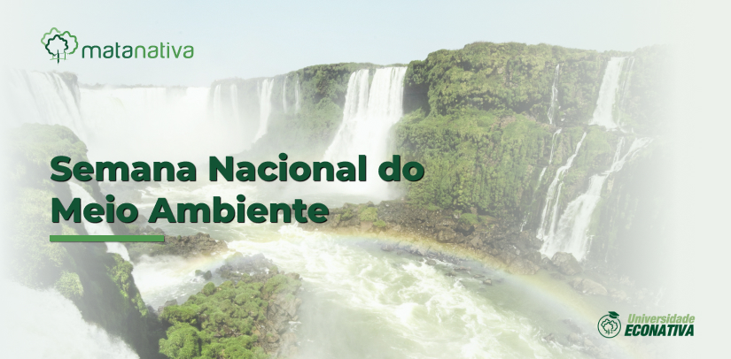 Semana Nacional do Meio Ambiente