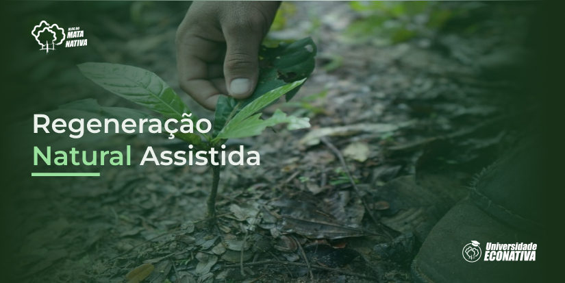 Regeneração Natural assistida