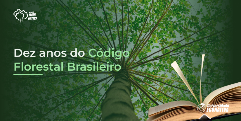 Dez anos do Código Florestal Brasileiro