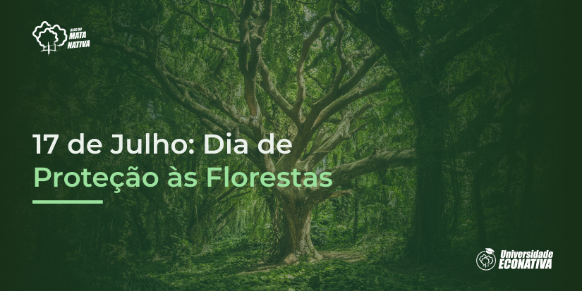 17 de Julho Dia de Proteção às Florestas