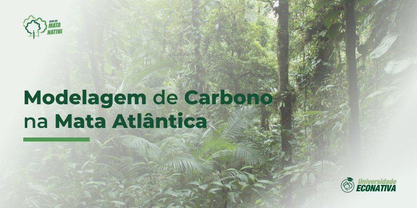 Modelagem de Carbono na Mata Atântica