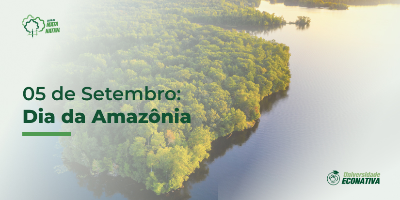 Dia da amazônia