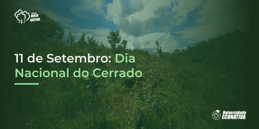 Dia Nacional do cerrado