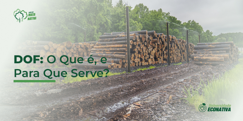 DOF: O Que é, e Para Que Serve?