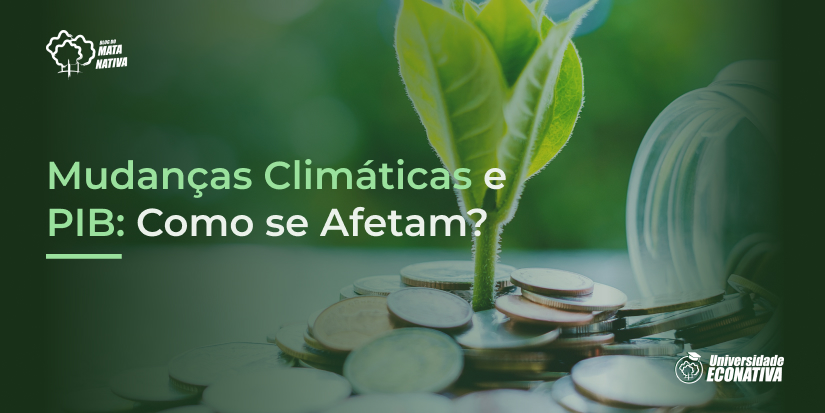 Mudanças Climáticas e PIB: Como se Afetam?