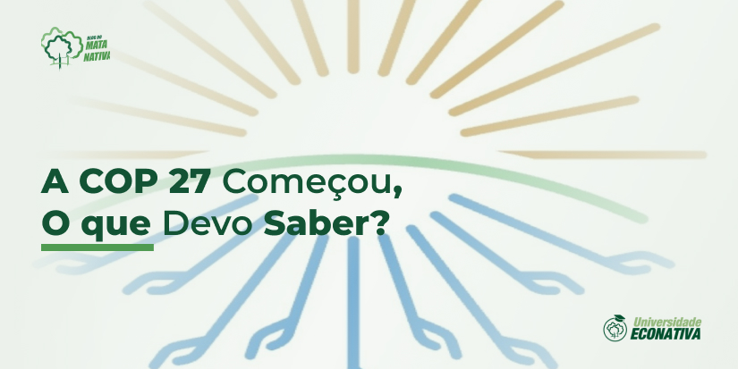 A COP27 Começou, o Que Devo Saber?