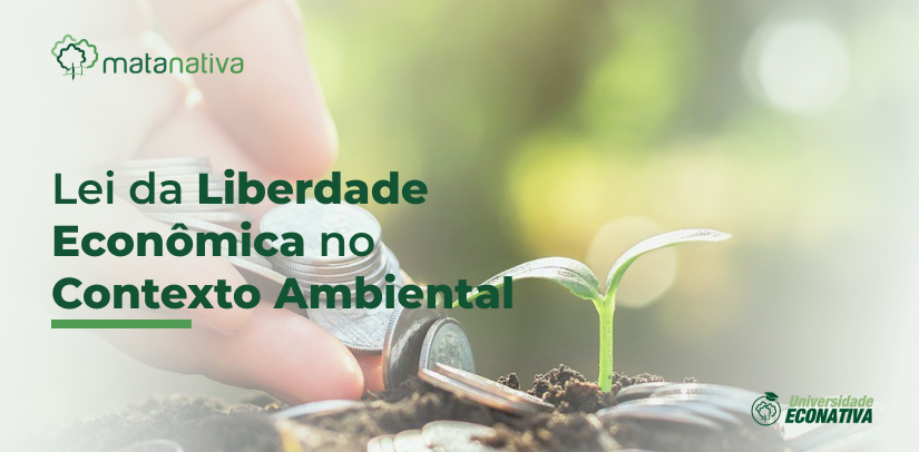 Lei da Liberdade Econômica no Contexto Ambiental