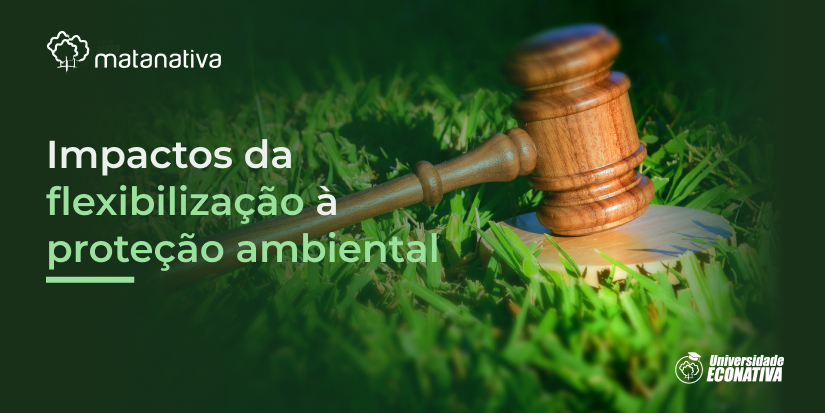 Impactos da flexibilização a proteção ambiental