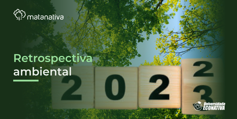 Retrospectiva ambiental