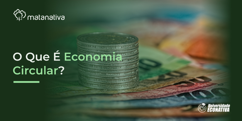 O Que É Economia Circular?