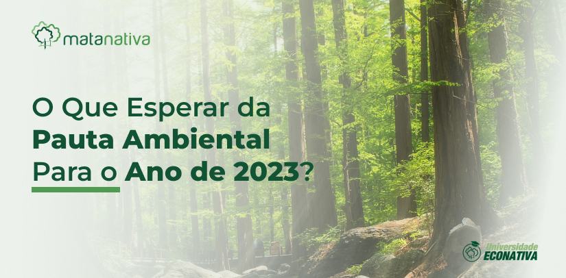 O Que Esperar da Pauta Ambiental Para o Ano de 2023_