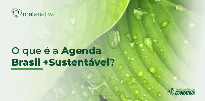 O que é a Agenda Brasil +Sustentável?