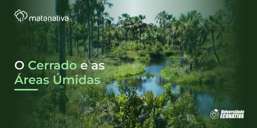 O Cerrado e as Áreas Úmidas