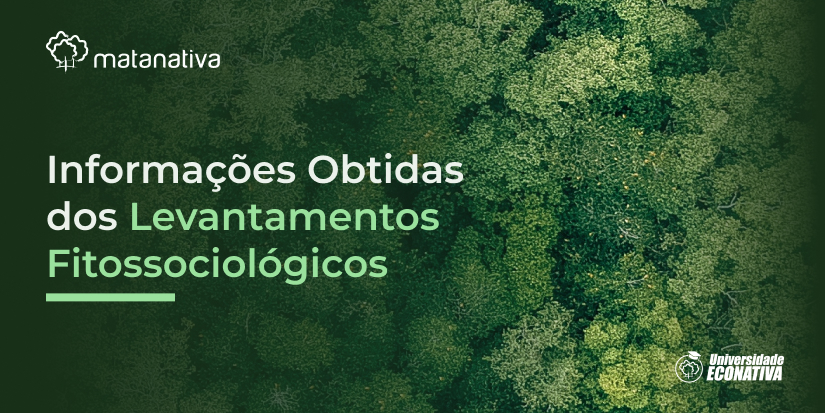 Informações obtidas dos levantamentos fitossociológicos