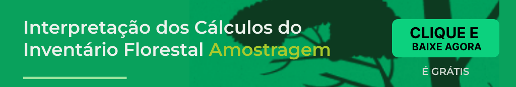 Interpretação dos Cálculos do Inventário Florestal - Amostragem