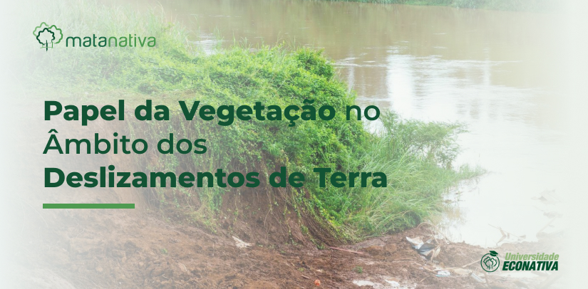 Papel da Vegetação no Âmbito dos Deslizamentos de Terra