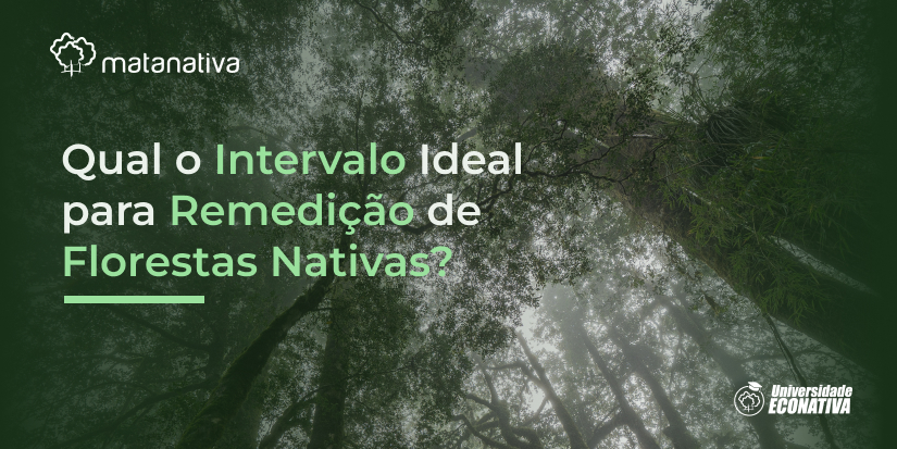 Qual o Intervalo Ideal para Remedição de Florestas Nativas