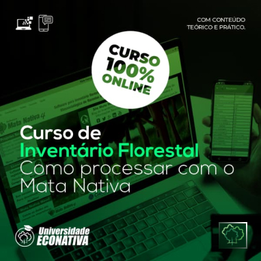 como-processar-com-o-mata-nativa