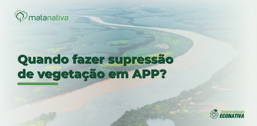 Quando fazer supressão de vegetação em APP