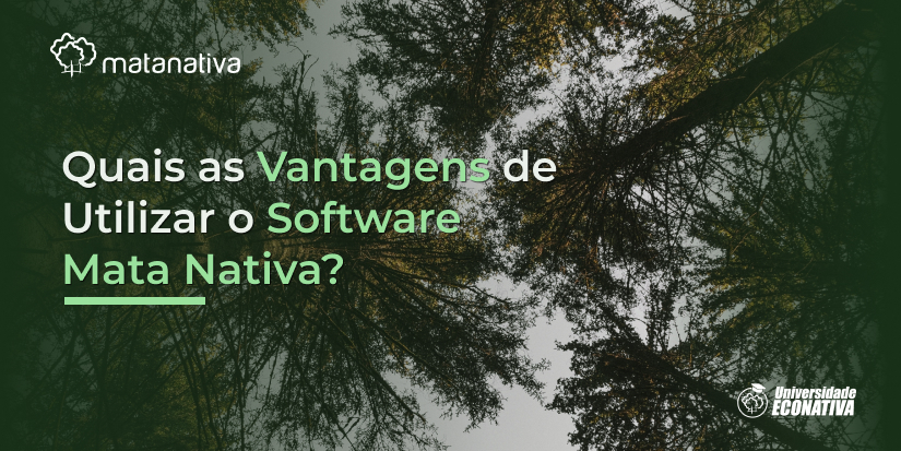 Software Mata Nativa Quais as Vantagens de Usá-lo