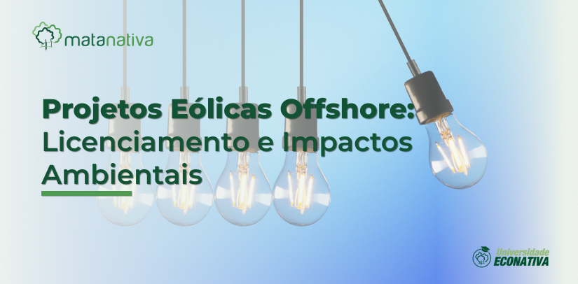 20230619 -Projetos Eólicas Offshore Licenciamento e Impactos Ambientais