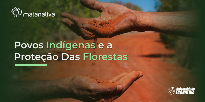 Povos Indígenas e a Proteção Das Florestas