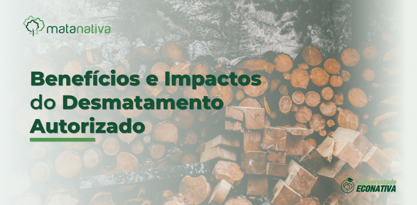 Benefícios e Impactos do Desmatamento Autorizado