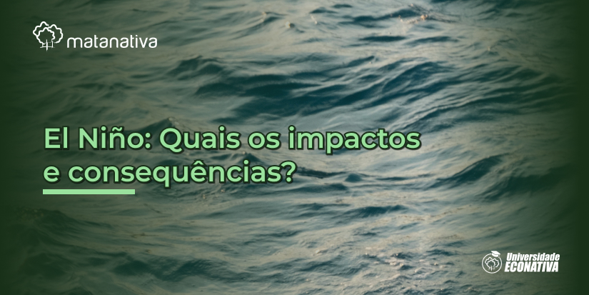 El Niño Quais os impactos e consequências