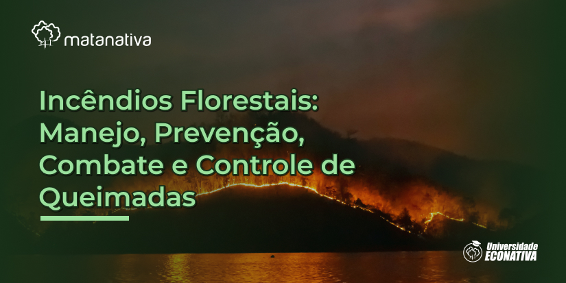 Incêndios Florestais Manejo, Prevenção, Combate e Controle de Queimadas