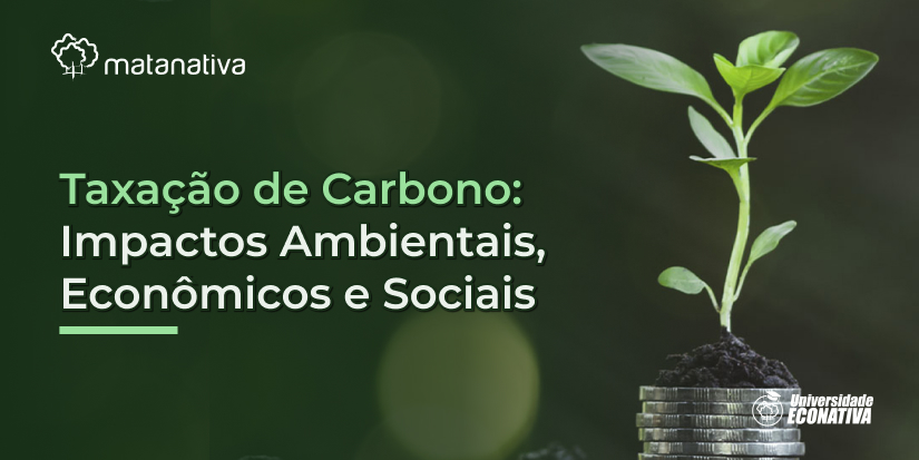 Taxação de Carbono_ Impactos Ambientais, Econômicos e Sociais