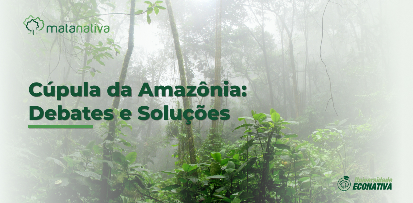 Cúpula da Amazônia Debates e Soluções