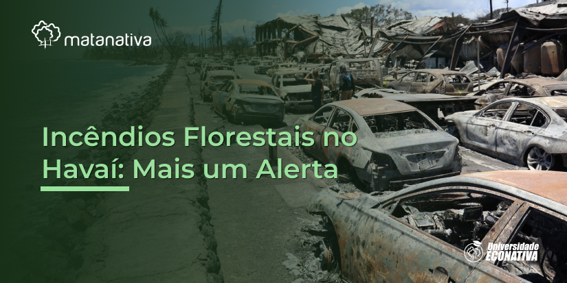 Incêndios Florestais no Havaí Mais um Alerta