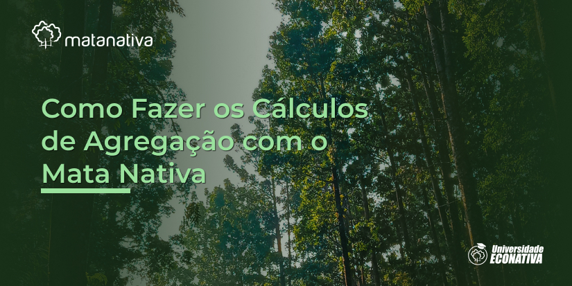 Como Fazer os Cálculos de Agregação com o Mata Nativa