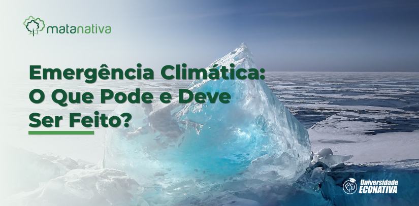 Emergência Climática O Que Pode e Deve Ser Feito