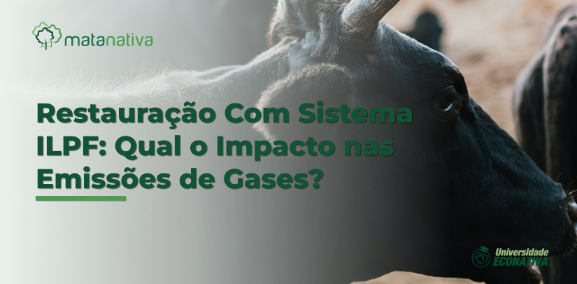 Restauração Com Sistema ILPF_ Qual o Impacto nas Emissões de Gases