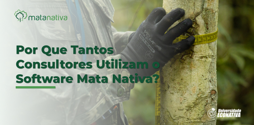 Por Que Tantos Consultores Utilizam o Software Mata Nativa