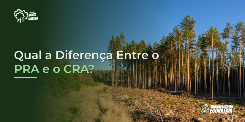 Qual a Diferença Entre o PRA e o CRA