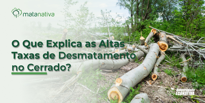 O Que Explica as Altas Taxas de Desmatamento no Cerrado